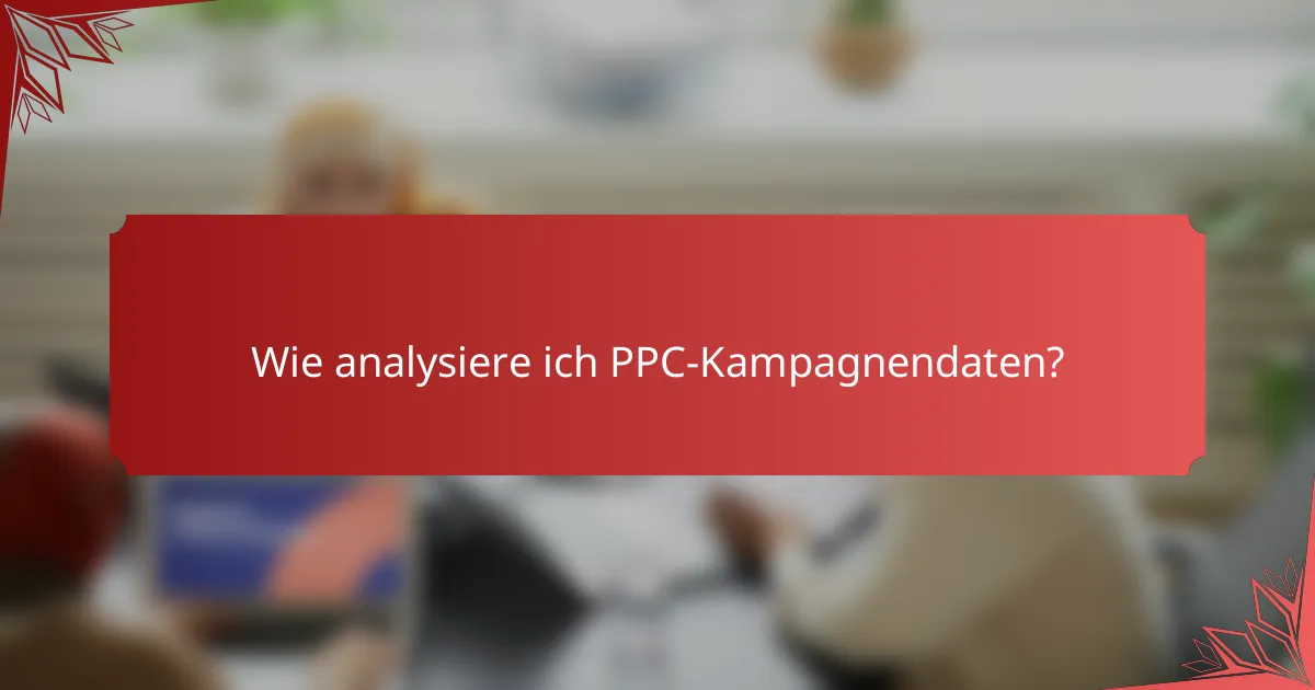 Wie analysiere ich PPC-Kampagnendaten?